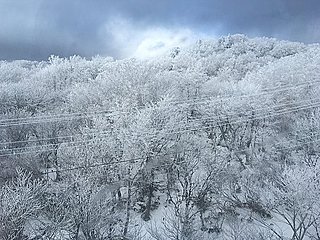 冬の風物詩　蔵王の樹氷見学へ