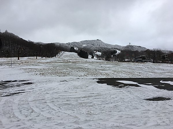 下の方はまだこれからですね