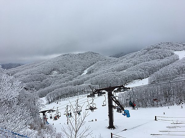 リフトからの景色