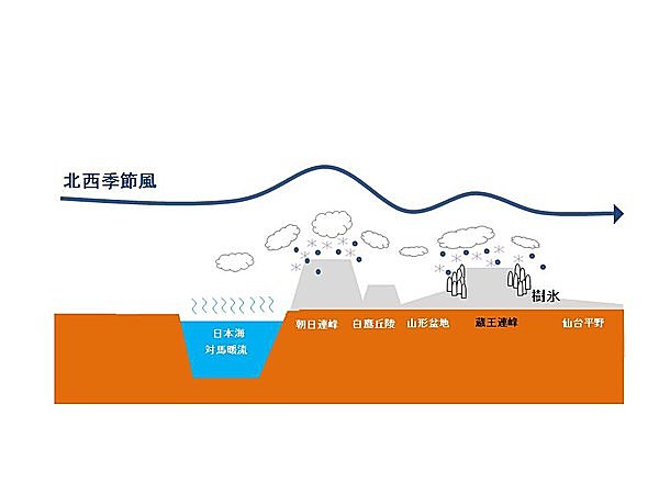 樹氷ができる仕組み