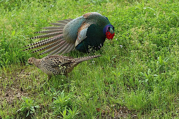 広げて見せながらプロポーズ