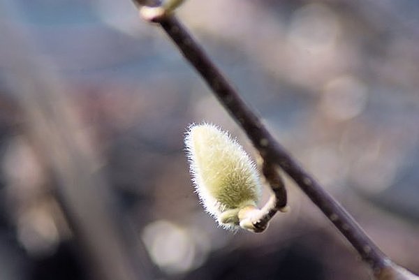 でも本当にこの時期水は温かくなるの？