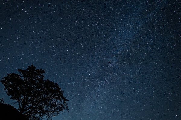 冬の夜空といえば、「鏡餅」は本来黒く、星空を写したものだった