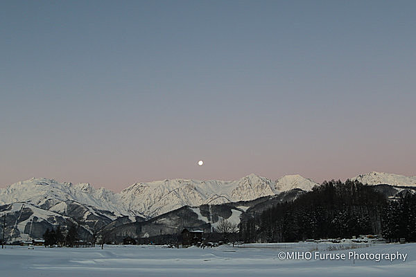 冬限定！天からの贈り物、「雪景色」をイメージ通りに撮影するコツ