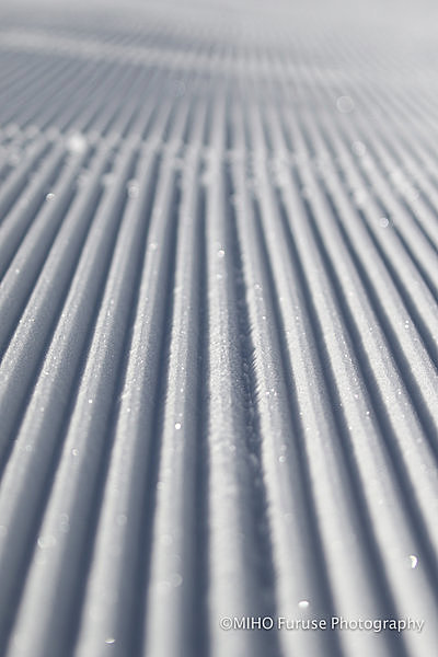 雪景色の撮影は朝一番が狙い目！