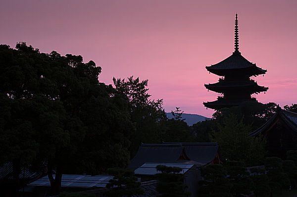 弘法大師空海が表現した立体曼荼羅と、想いを受けつがれる五重塔