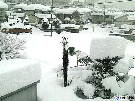 1位　関東甲信を中心に2週連続の記録的な大雪