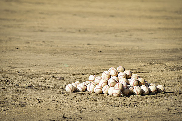 プロ野球キャンプを楽しむなら南国へ！