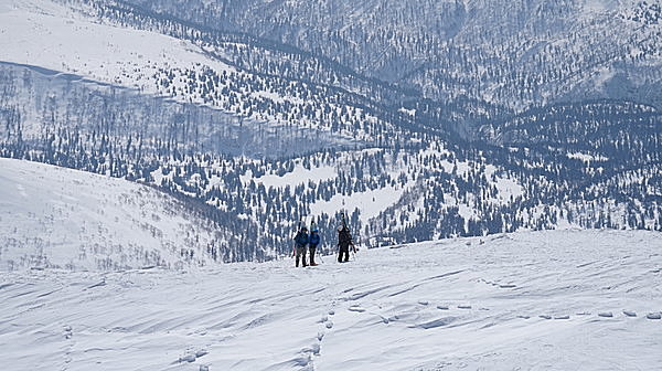 【旭岳スキーコース】上級者向き。ロープウェイで上り、手つかずの大自然を滑り下りる!!