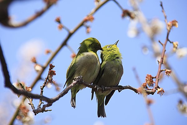 ここにも春の幸せが♪