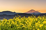「おぼろ月夜」ってどんな月？ 七十二候＜霞始靆（かすみはじめてたなびく）＞