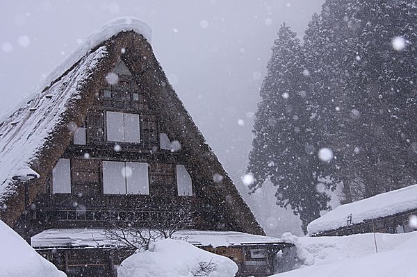 一階部分を覆い尽くすような雪。広い屋根裏では蚕の飼育をしていた