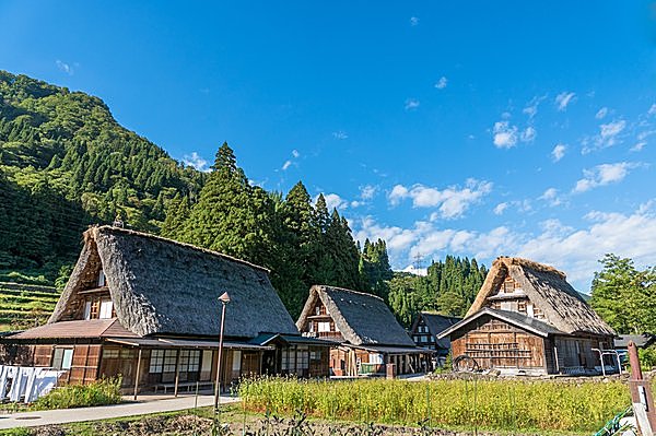 雪の季節が過ぎるとのどかな風景が広がる