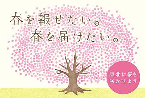 桜が描かれた百円玉で、東北に満開の桜を