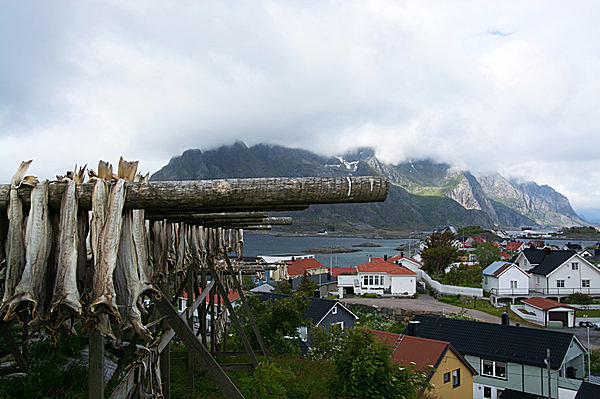 ノルウェーの漁村の風景。タラが干されています