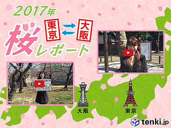 第1回　東京・大阪桜レポート2017