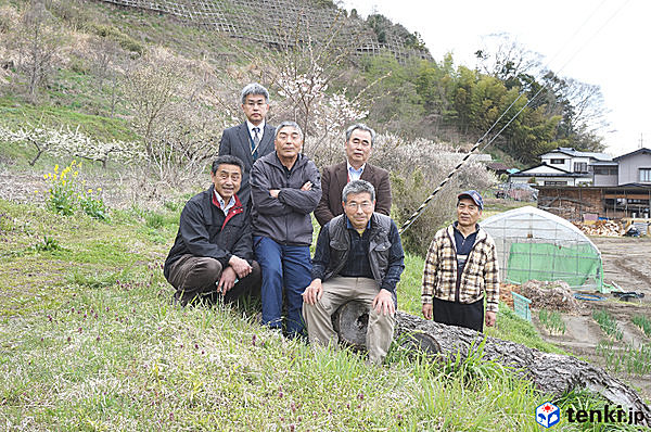 桜のお世話をしてくださっている東松島市鹿妻二区の皆様