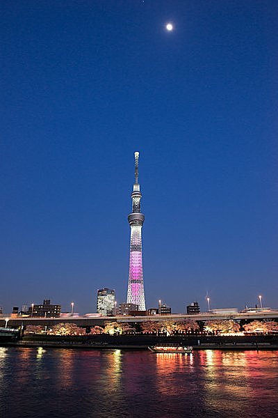 東京ならではの春の風流があつまる景色