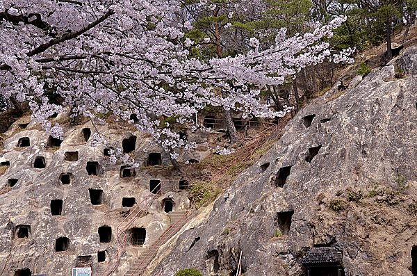 特集｜【南関東の桜の名所】動物と楽しむサクラも！こんなお花見はいかがですか？