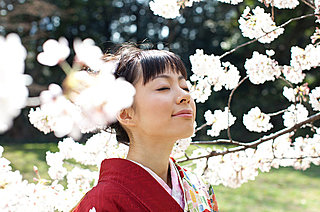 花衣（はなごろも）…花（桜）を愛でるときの装いの妙