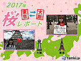 第2回　東京・大阪桜レポート2017