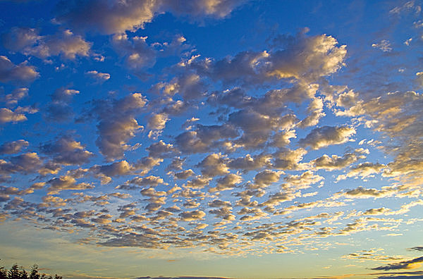 夕空に浮かぶひつじ雲