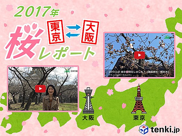 第3回　東京・大阪桜レポート2017