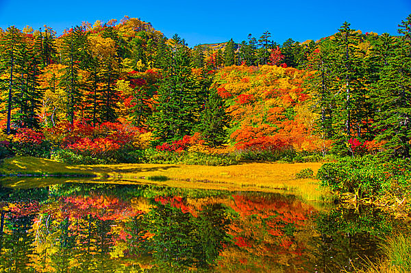 日本一早い紅葉を見に行こう!!〈北海道の紅葉スポット～道北・道東エリア〉