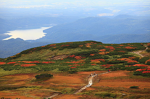真っ赤な山をロープウェイで空中散歩／大雪山旭岳（上川郡東川町）
