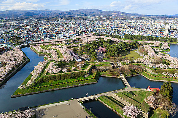 【五稜郭公園】タワーにのぼって、桜色の星形を見てみよう!!