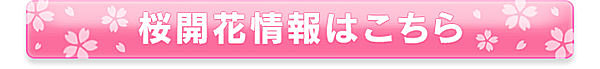 特集｜【北海道の桜の名所】ゴールデンウィークから桜が見ごろ!!_画像