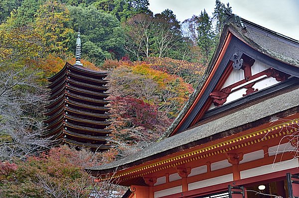 藤原の姓は天智天皇から賜った（写真は中臣鎌足を祭る談山神社）