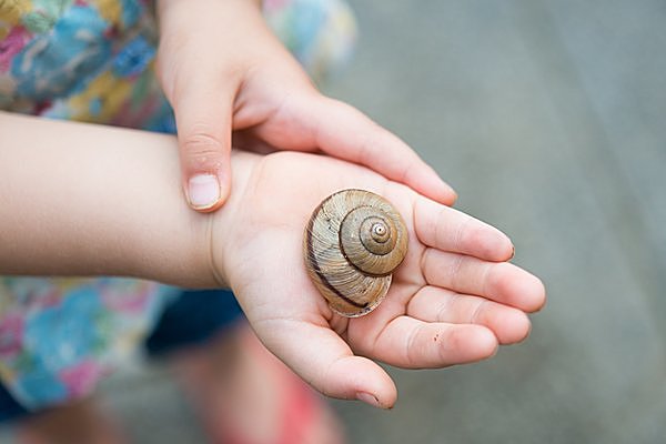 カタツムリの歌で出せと要求される「やり」。どこにあるのか、ご存じ