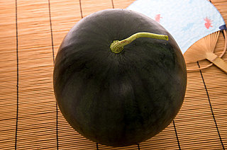 真っ黒な「でんすけすいか」。初競りは1玉50万円!! 北海道・当麻町の高級スイカ