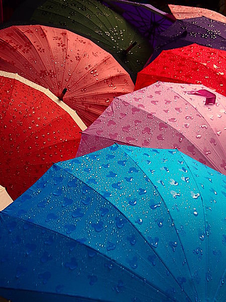 梅雨の空を楽しく過ごす傘は？