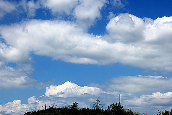 七十二候＜温風至（あつかぜ いたる）＞。南風には黒と白があるのです