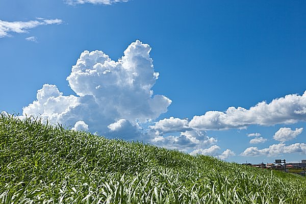 七十二候＜土潤溽暑〜つちうるおうてむしあつし〜＞植物も汗をかき、人は恋する