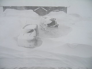 「雪が多くて困った」、「雪が少なくて困った」。今年の冬の悲喜こもごも
