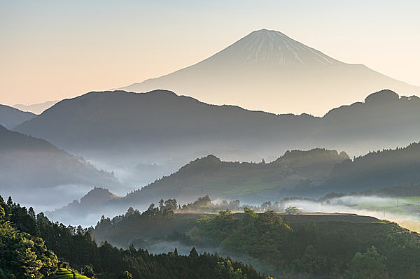 「霧」に感じる日本人の情緒は？