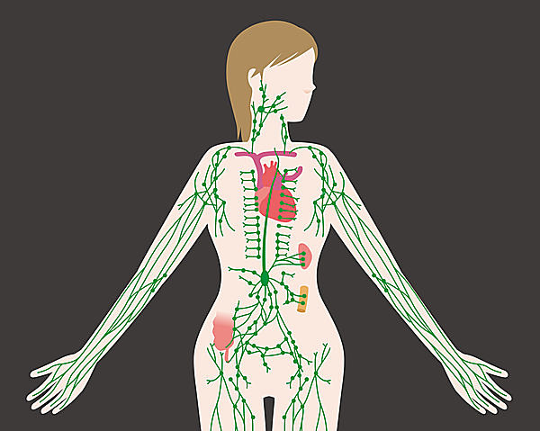 リンパ管には、心臓のようなポンプ機能がない