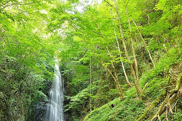 心が洗われる美しさ……百尋ノ滝