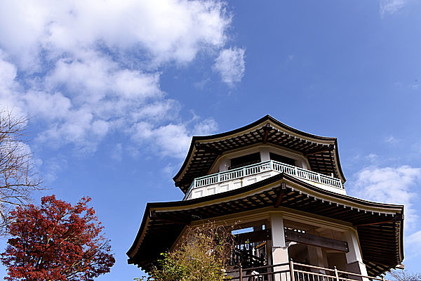 趣ある弘法山公園の展望台