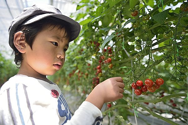 忘れられない体験になりそう（画像はイメージ）