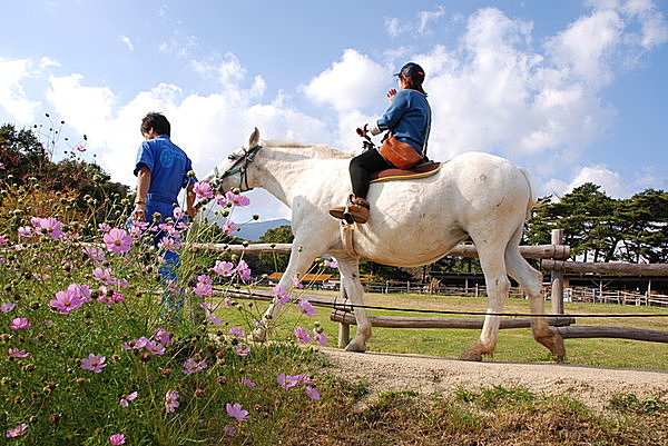 スポーツの秋！乗馬体験してみませんか？〈レジャー特集・2017〉