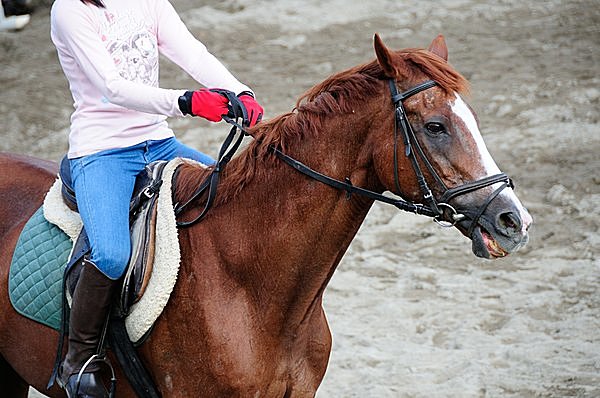 都内でも手ぶらで乗馬ができます！　※画像はイメージ