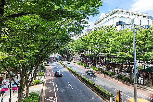 会場は表参道・原宿・渋谷・代官山・六本木