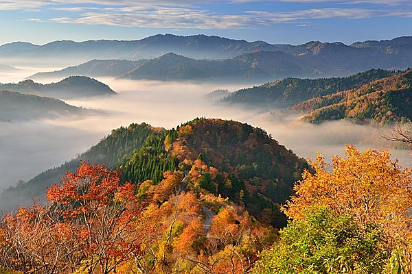 絶景 × 絶景！ 紅葉と雲海／朽木小入谷 おにゅう峠（滋賀県高島市）