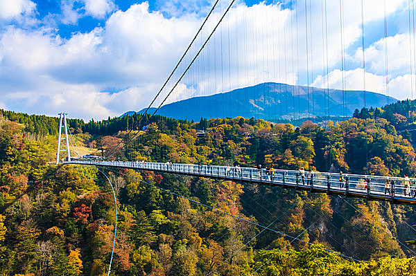 日本一の高さは、まさに天空の散歩道！