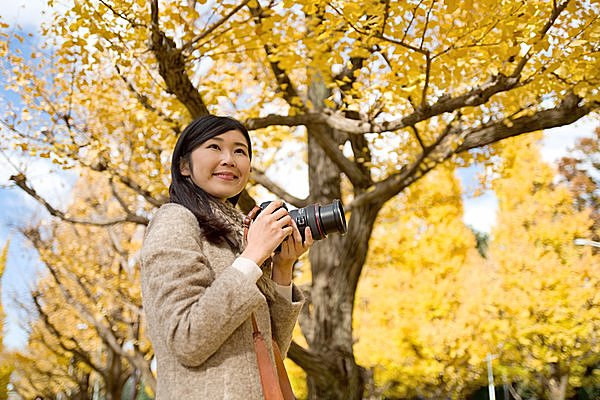 フォトジェニックな紅葉 おすすめスポット 関東編 特集 17 Tenki Jpサプリ 17年11月11日 日本気象協会 Tenki Jp