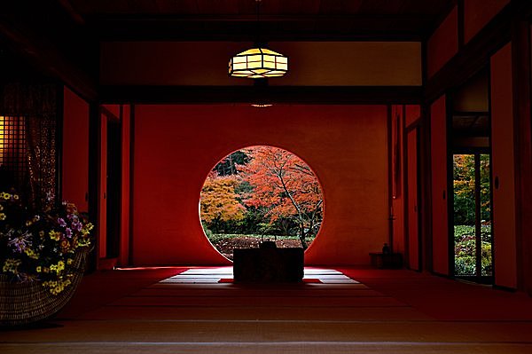 まるい窓の向こうに見える紅葉が特別公開！ うさぎ萌え♪／明月院（神奈川県鎌倉市）